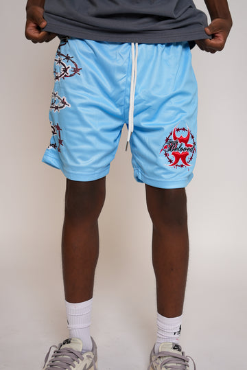 MESH SHORTS (BLUE)